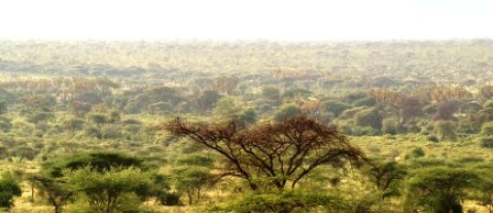Kisumu Impala Sanctuary, Ndere Island National Park, Mwingi National Reserve, South Kitui National Reserve, Shimba Hills National Reserve（水系 / 湖泊 / 海岸）-非行家旅行-Africa Wild Wander