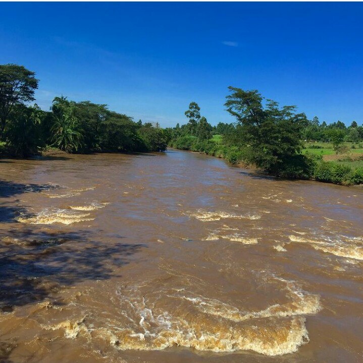 River Nzoia（水系 / 湖泊 / 海岸）-非行家旅行-Africa Wild Wander