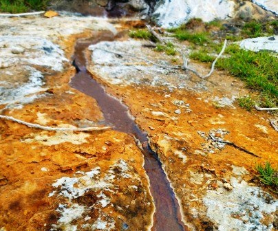 Tharu Springs（地貌 / 瀑布 / 泉水）-非行家旅行-Africa Wild Wander