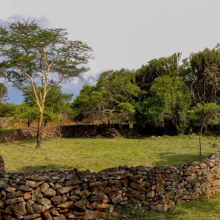Thimlich Ohinga（水系 / 湖泊 / 海岸）-非行家旅行-Africa Wild Wander