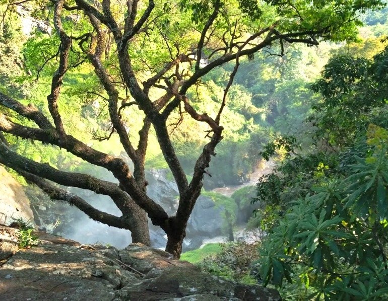 Koromosho Falls（科罗莫绍瀑布）-非行家旅行-Africa Wild Wander