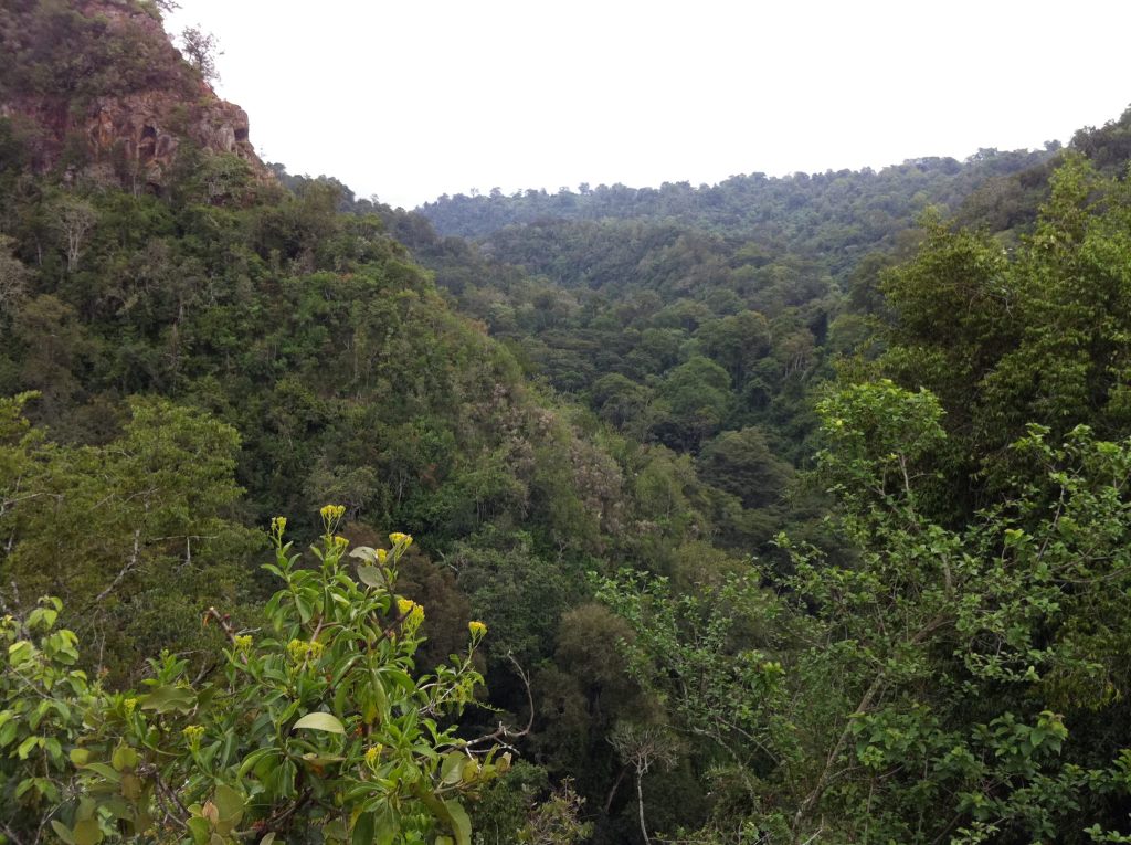 Lembus Forest-非行家旅行-Africa Wild Wander