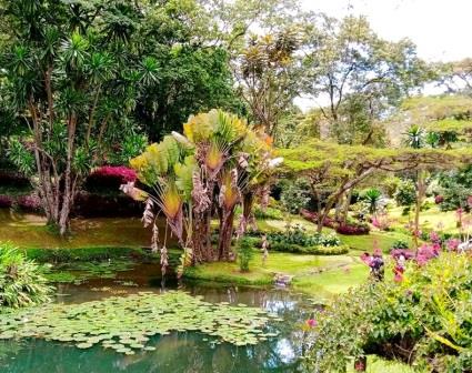 Kapsimotwa Gardens(住宿 / 休闲设施)-非行家旅行-Africa Wild Wander