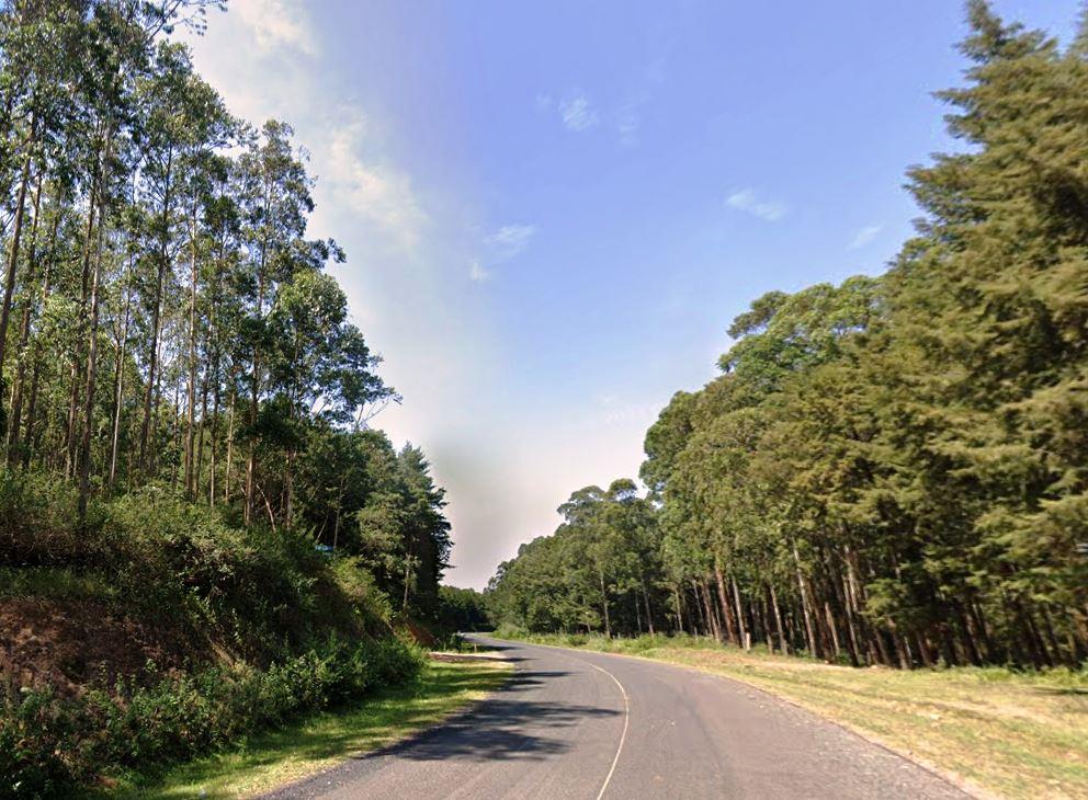 Nyangweta Forest（自然景观 / 徒步）