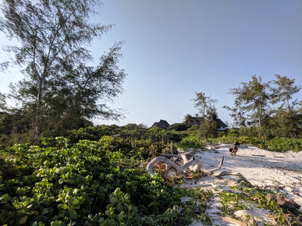 A Rocha Conservation（水系 / 湖泊 / 海岸）-非行家旅行-Africa Wild Wander