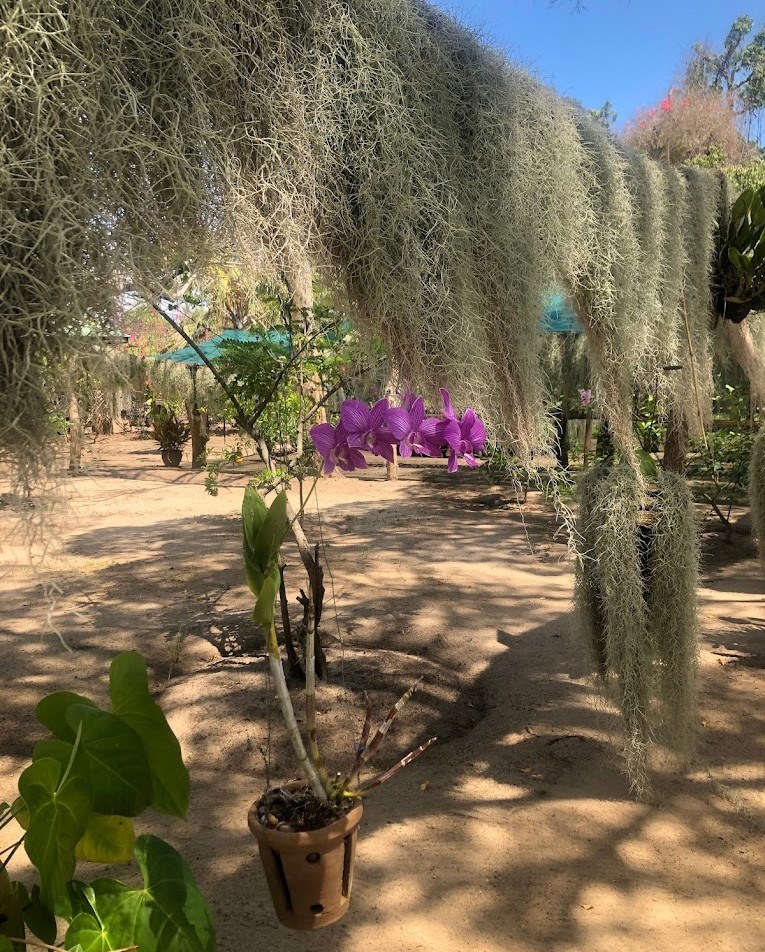 The Hanging Gardens（县域目的地 / 专题资料）-非行家旅行-Africa Wild Wander