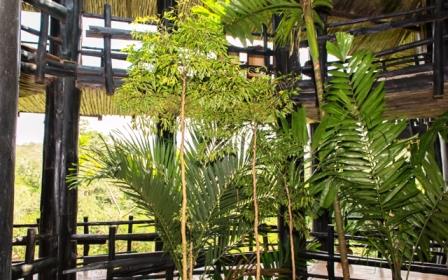 Shimba Hills Lodge（保护区 / 野生动物）-非行家旅行-Africa Wild Wander