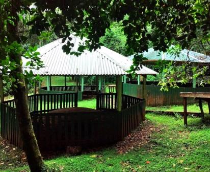 Tagabi Monkey Sanctuary（县域目的地）-非行家旅行-Africa Wild Wander