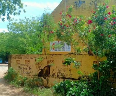 Mombasa Butterfly House（生态公园 / 海洋保护）-非行家旅行-Africa Wild Wander