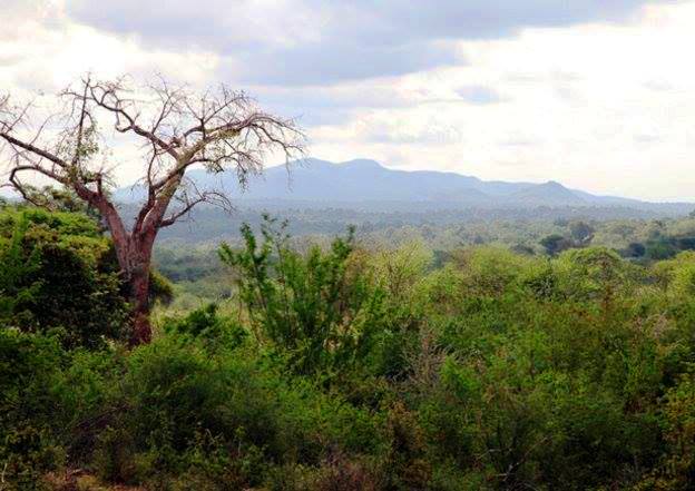 Inanduru Cave（伊南杜鲁洞穴）-非行家旅行-Africa Wild Wander