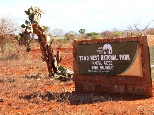 Maktau Railway Station（一战遗址 / 纪念地）-非行家旅行-Africa Wild Wander