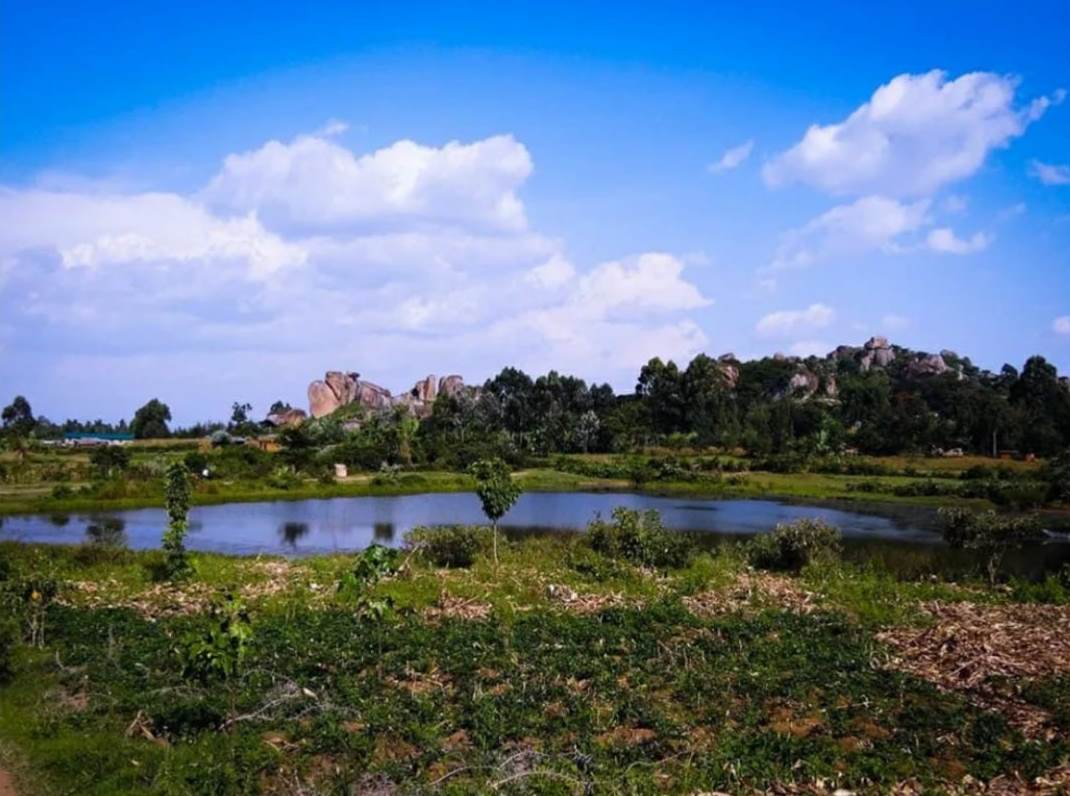Muyayi Dam（水系 / 湖泊 / 海岸）-非行家旅行-Africa Wild Wander