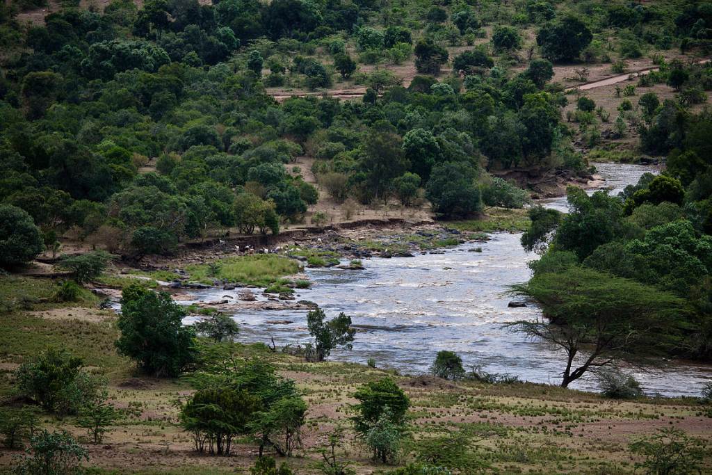 Trans Mara Forest（自然景观 / 徒步）-非行家旅行-Africa Wild Wander