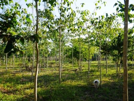 Shimba Hills Farm(保护区 / 野生动物)-非行家旅行-Africa Wild Wander
