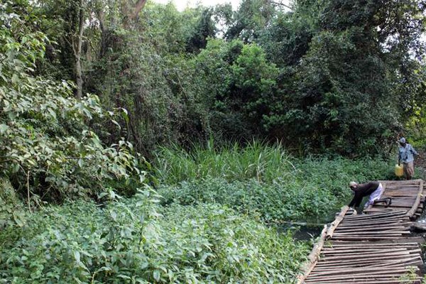 Kipsegon Ecosystem（国家公园 / 保护区 / Safari）-非行家旅行-Africa Wild Wander
