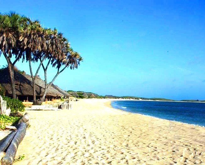 Kiwayu Island（海岛 / 海滩 / 船行体验）-非行家旅行-Africa Wild Wander