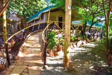 Rukenya Islands（鲁肯亚岛营地）-非行家旅行-Africa Wild Wander