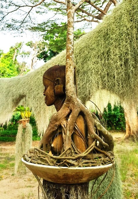 The Hanging Gardens（县域目的地 / 专题资料）-非行家旅行-Africa Wild Wander