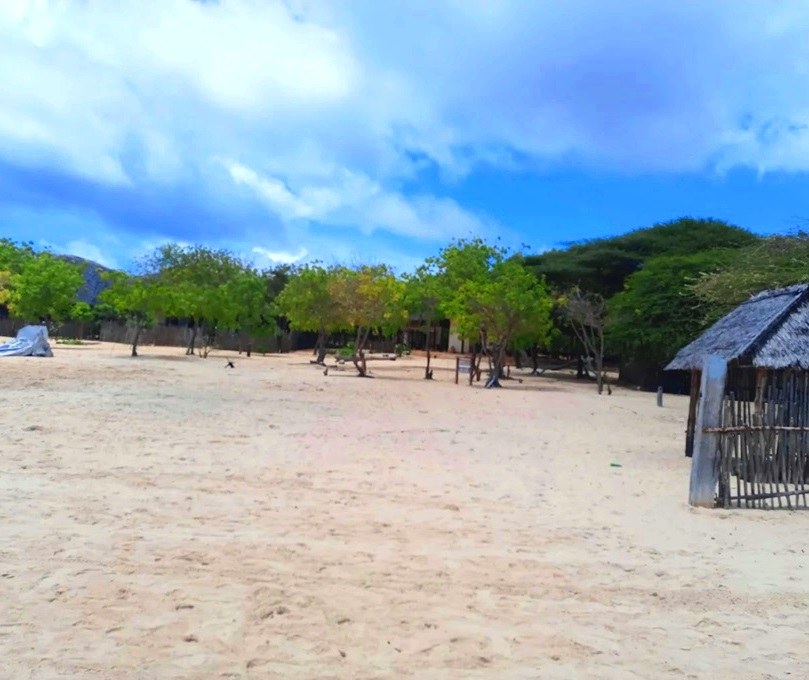Red Pepper House（住宿 / 餐饮）-非行家旅行-Africa Wild Wander