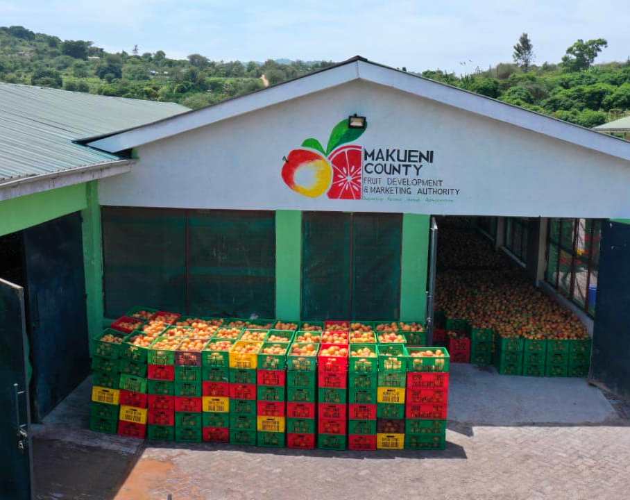 Kalamba Fruit Factory（卡兰巴水果加工厂）-非行家旅行-Africa Wild Wander