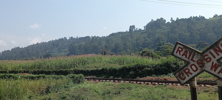 Chetambe Fort（历史遗产 / 博物馆）-非行家旅行-Africa Wild Wander