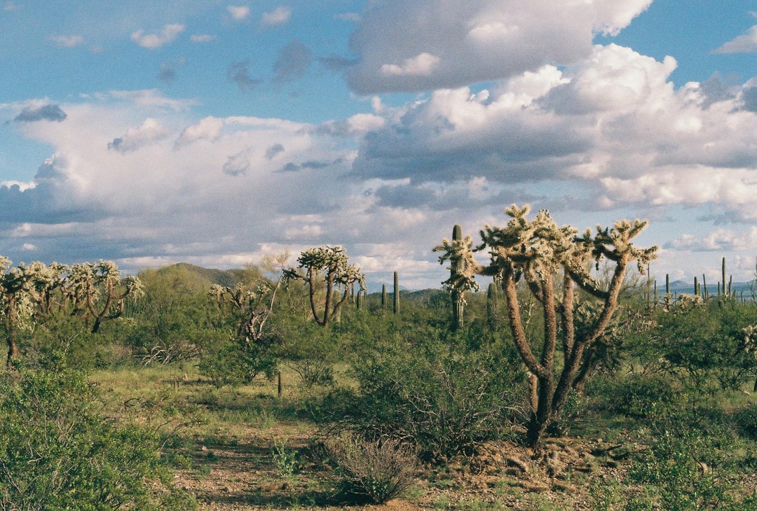 Kitui County(基图伊县)-非行家旅行-Africa Wild Wander