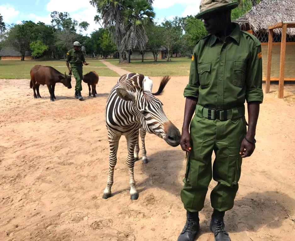 Amu Ranch(保护区 / 海岸生态)-非行家旅行-Africa Wild Wander