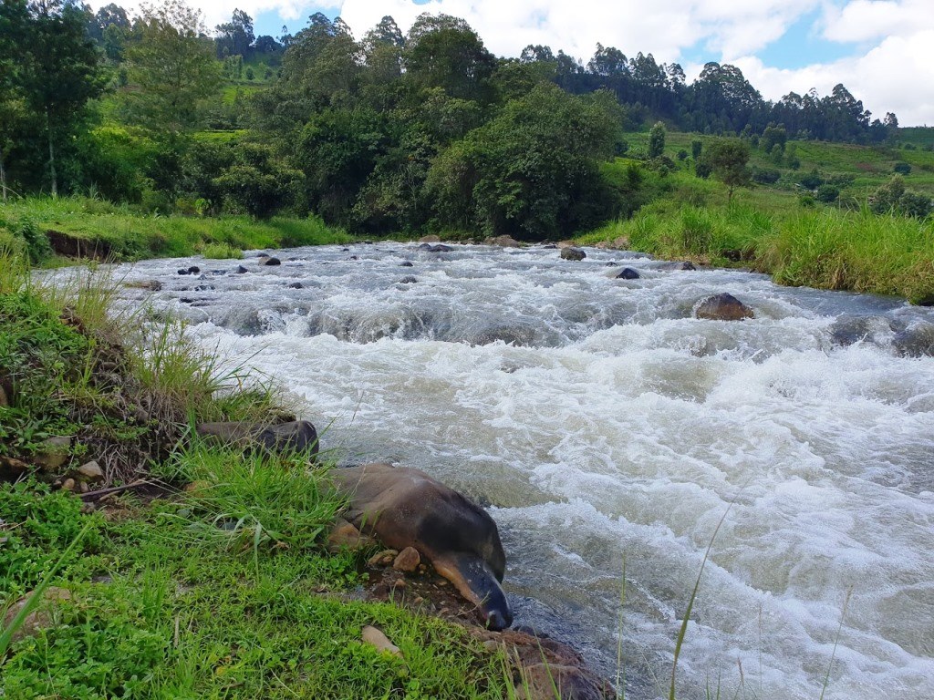 Aberdare Fishing Lodge（Aberdare 森林 / 徒步）-非行家旅行-Africa Wild Wander