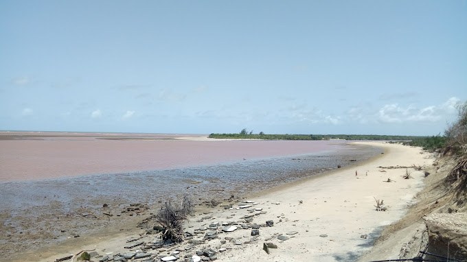 Tana River Lodge（水系 / 湖泊 / 海岸）-非行家旅行-Africa Wild Wander