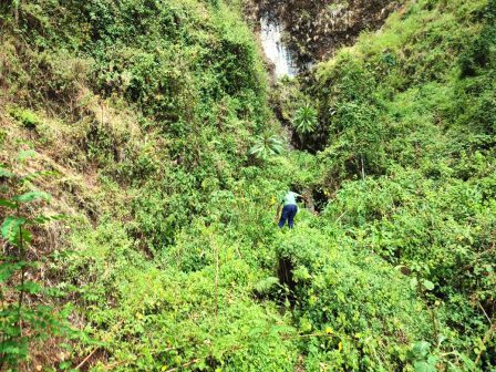 Kenungu Falls（瀑布 / 森林水系）-非行家旅行-Africa Wild Wander