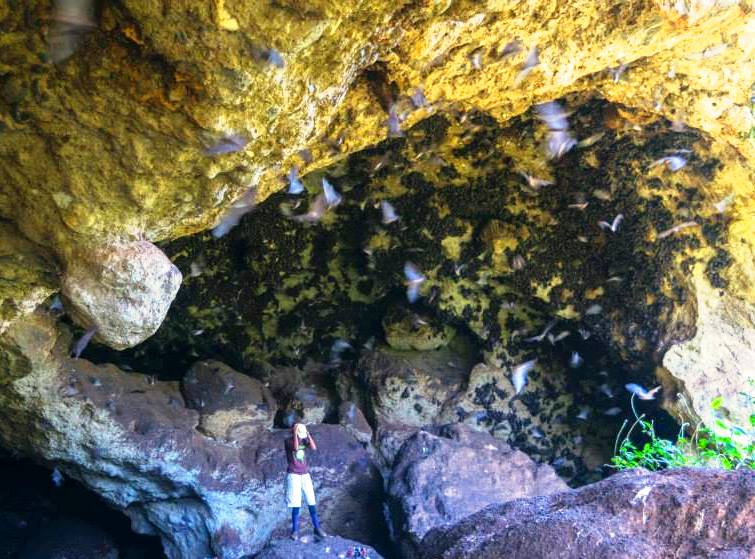 Inanduru Cave（伊南杜鲁洞穴）-非行家旅行-Africa Wild Wander