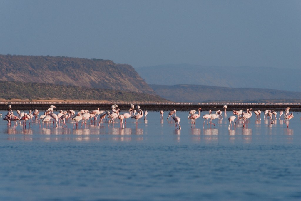 Kajiado County（县域概览）-非行家旅行-Africa Wild Wander