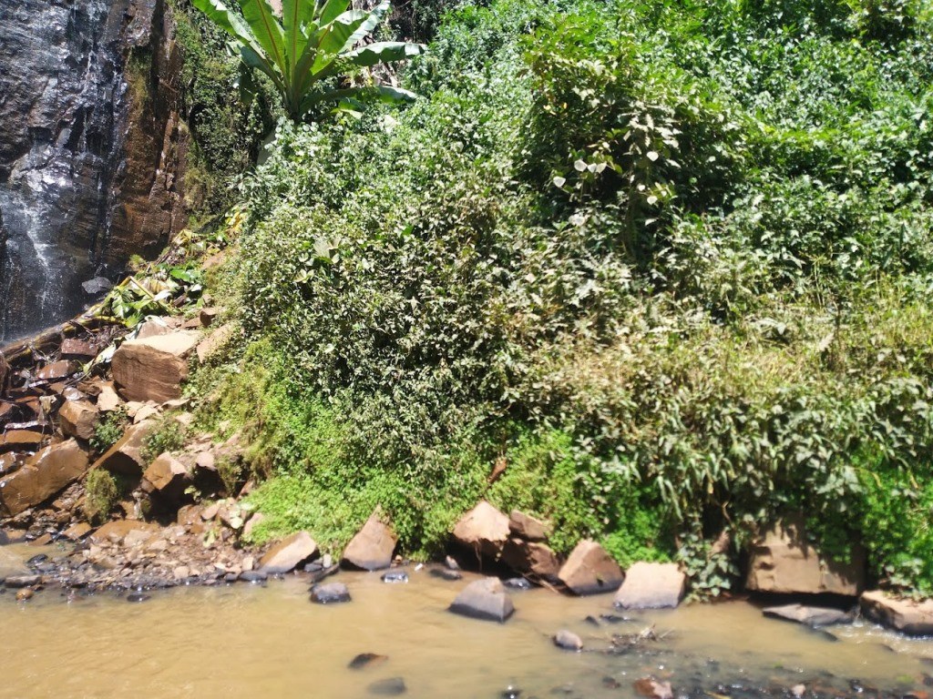 Nyamira Falls（水系 / 湖泊 / 海岸）-非行家旅行-Africa Wild Wander