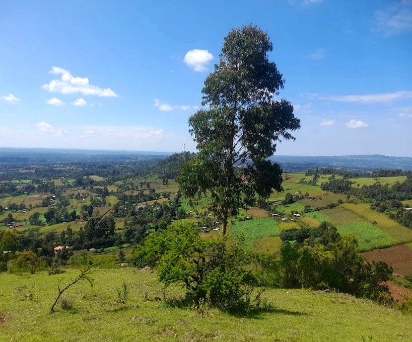 Kamulat Hill（山地 / 观景点）-非行家旅行-Africa Wild Wander