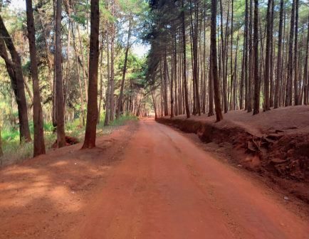 Mbooni Hills（姆博尼山地）-非行家旅行-Africa Wild Wander