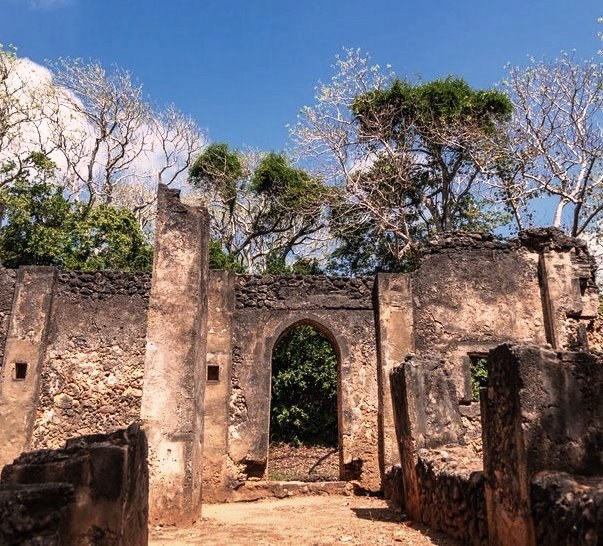 Mnarani Ruins（历史遗产 / 博物馆）-非行家旅行-Africa Wild Wander