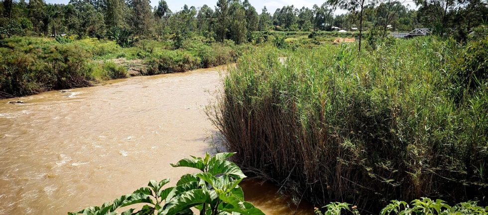 River Yala（亚拉河）-非行家旅行-Africa Wild Wander