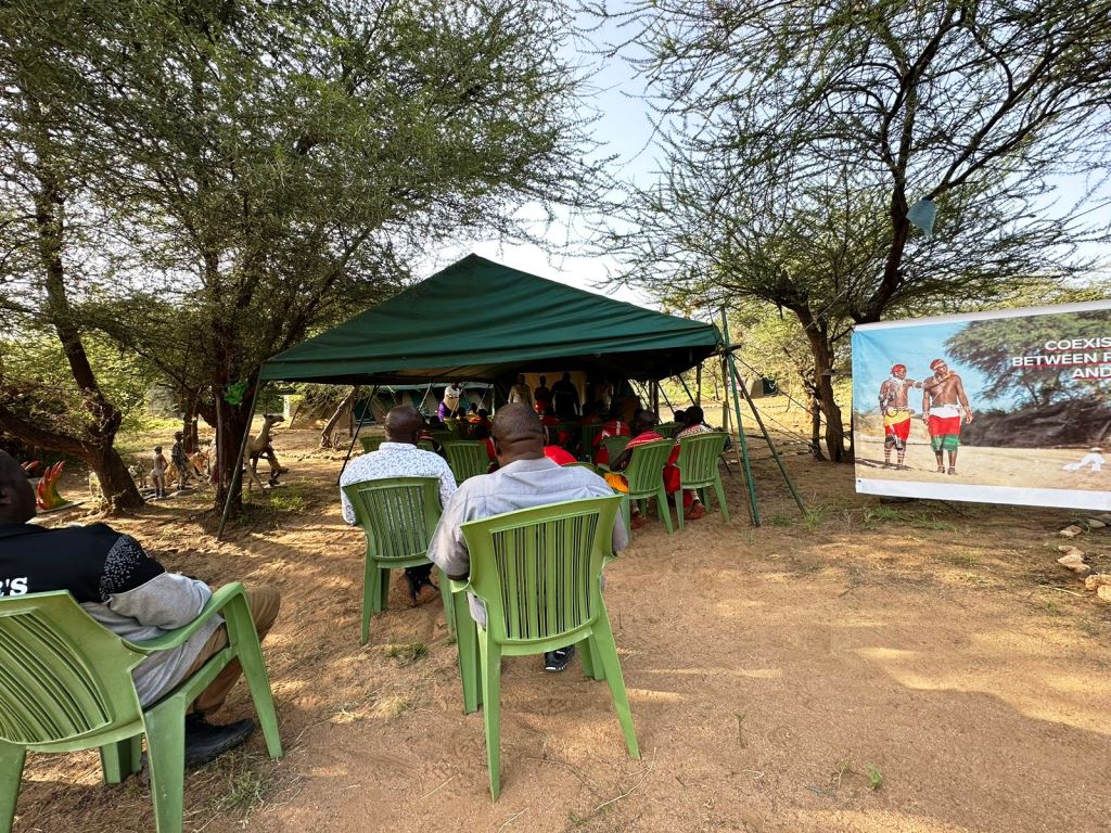Ewaso Lions（埃瓦索狮子保护项目）-非行家旅行-Africa Wild Wander