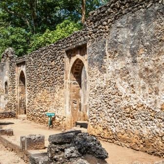 Wasini Ruins（海洋保护 / 海岛体验）-非行家旅行-Africa Wild Wander