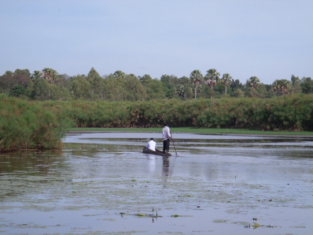 Sio Siteki Swamp（水系 / 湖泊 / 海岸）-非行家旅行-Africa Wild Wander