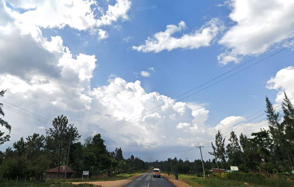 Nganyi Forest(恩甘伊森林)-非行家旅行-Africa Wild Wander