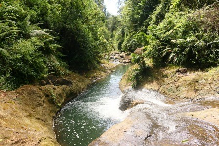 Ragia Forest Trail（拉吉亚森林步道）-非行家旅行-Africa Wild Wander