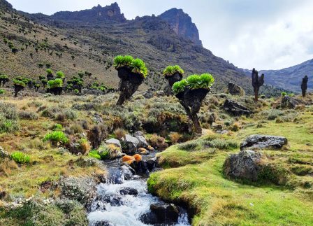 Sirimon Route（锡里蒙路线）-非行家旅行-Africa Wild Wander