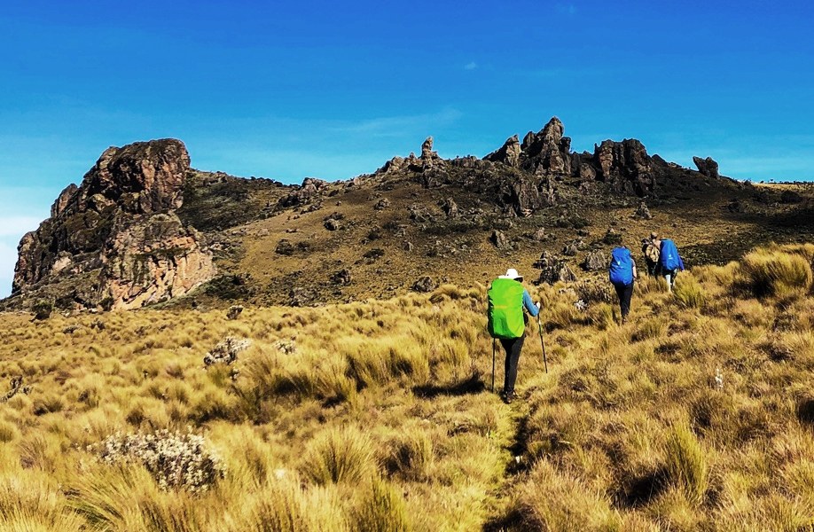 Wagagai Peak Hike（瓦加盖峰徒步）-非行家旅行-Africa Wild Wander