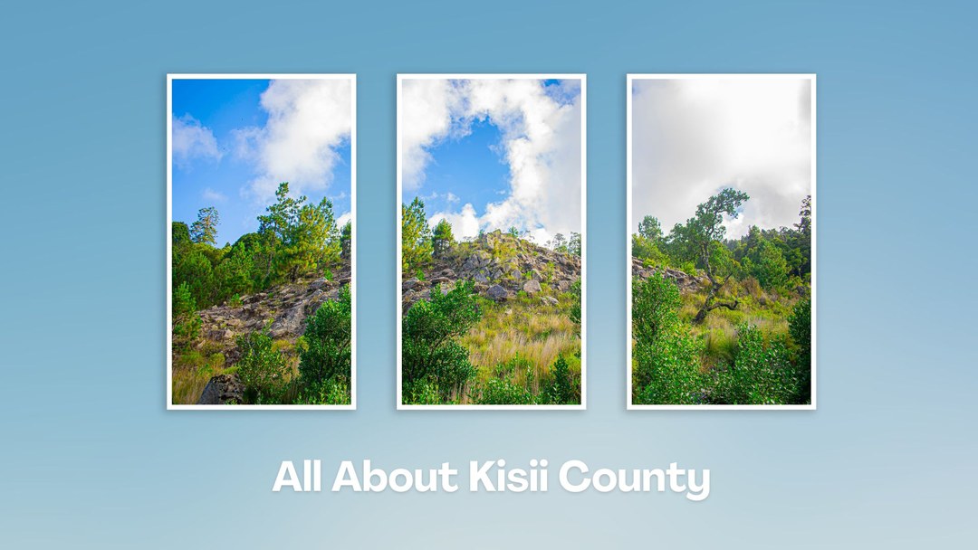 Kisii County（基西县）-非行家旅行-Africa Wild Wander