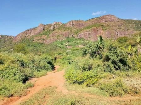 Kalamba Fruit Factory（卡兰巴水果加工厂）-非行家旅行-Africa Wild Wander