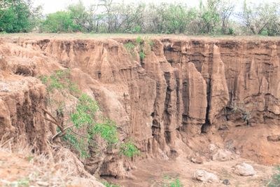 Olduka Valley-非行家旅行-Africa Wild Wander