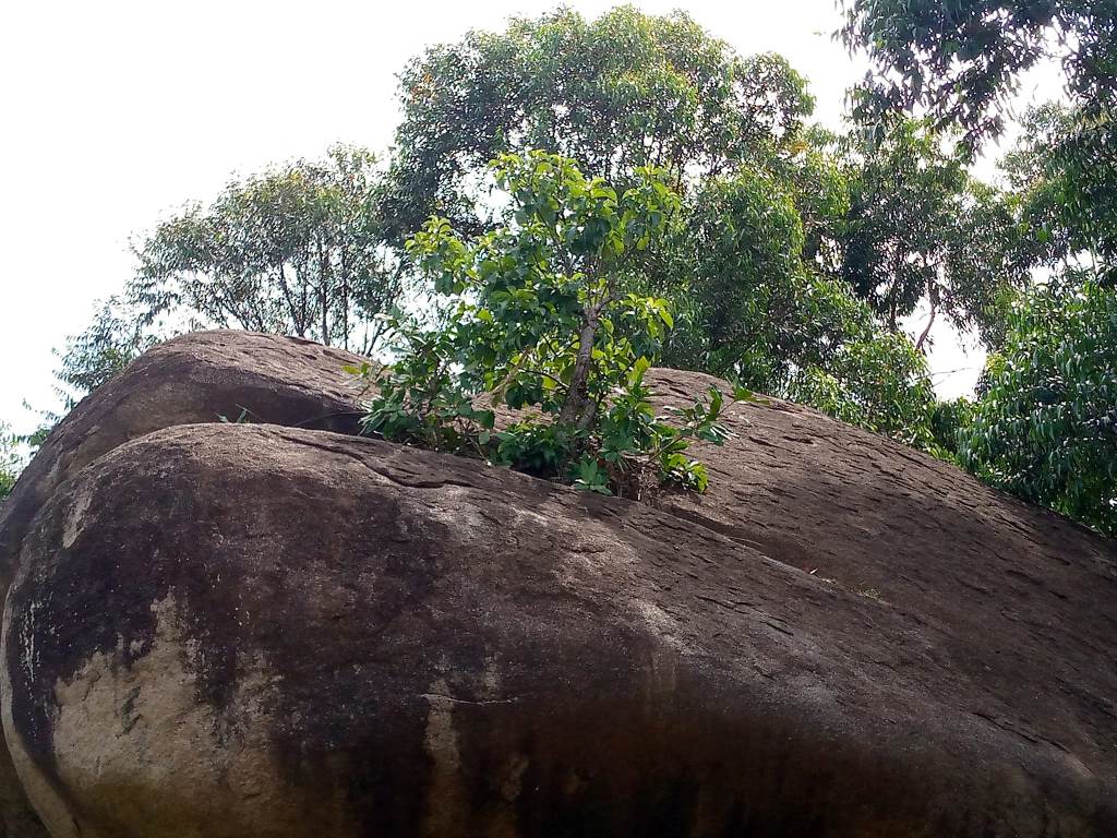 Namunyu Cave（历史遗产 / 博物馆）-非行家旅行-Africa Wild Wander