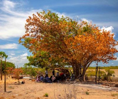 Atu Ruins（斯瓦希里遗产 / 博物馆）-非行家旅行-Africa Wild Wander
