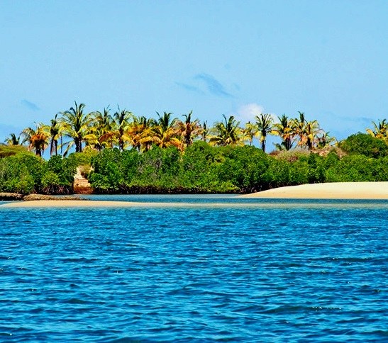 Manda Toto（海岛 / 海滩 / 船行体验）-非行家旅行-Africa Wild Wander